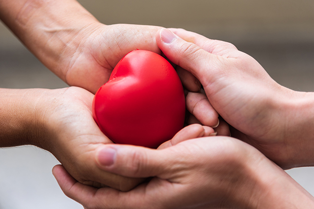 Two pairs of hands cradling a red heart.